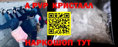 a pvp Камень-на-Оби