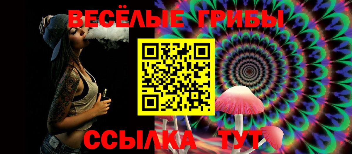 Галлюциногенные грибы GOLDEN TEACHER  сколько стоит  Вход с VPN  Волжск  Псилоцибиновые грибы прущие грибы 